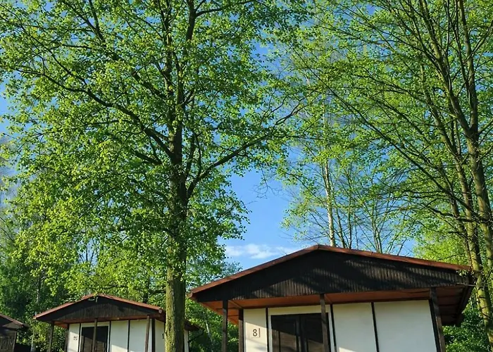 キャンプ場 Autocamp Kosmonosy Mladá Boleslav