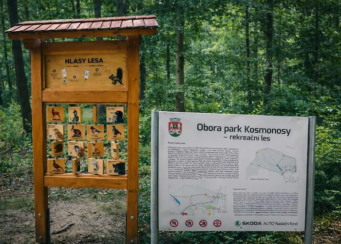 Autocamp Kosmonosy * Mladá Boleslav